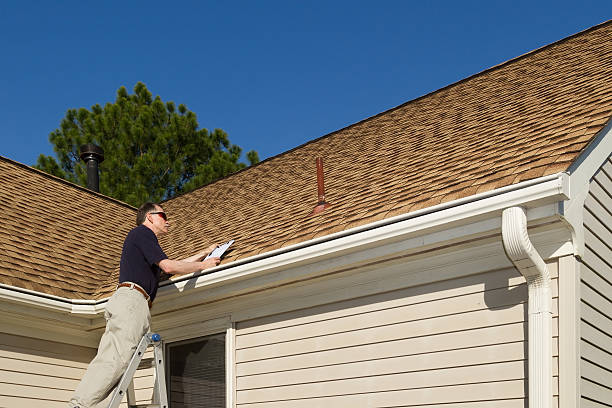 Best Roof Moss and Algae Removal  in Raymond, IL